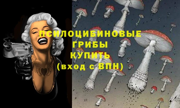 прущие крисы Покровск