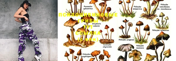 MESCALINE Баксан