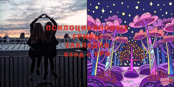 амф Покров